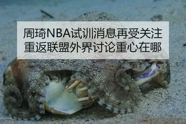 周琦NBA试训消息再受关注 重返联盟外界讨论重心在哪